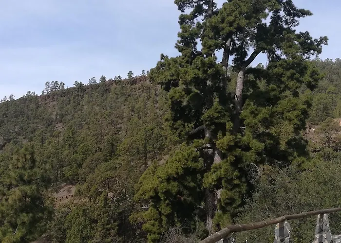 Lejlighed Casa Lorenzo - En Playa De Americas